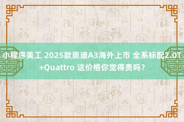 小程序美工 2025款奥迪A3海外上市 全系标配2.0T+Quattro 这价格你觉得贵吗？